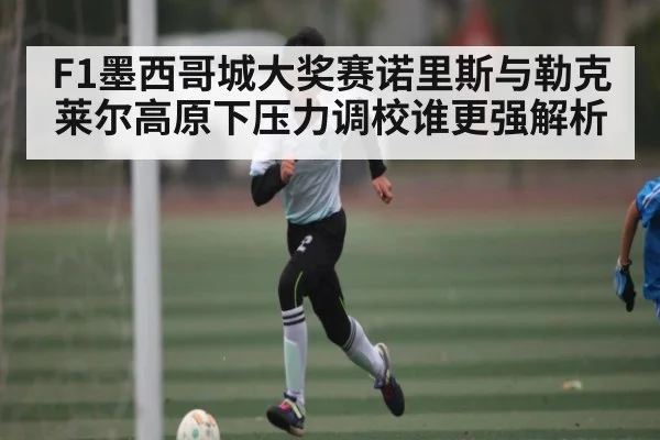 F1墨西哥城大奖赛诺里斯与勒克莱尔高原下压力调校谁更强解析 | kaiyun